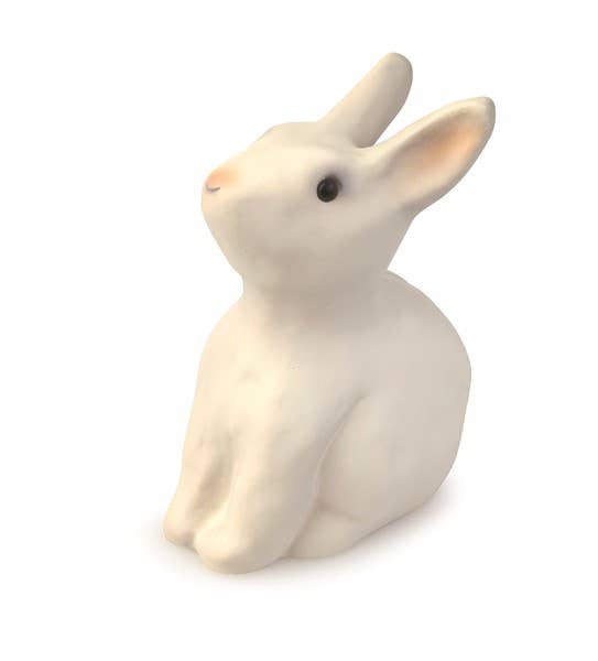 Egmont Toys Saving Bank Rabbit - Rose and Friends