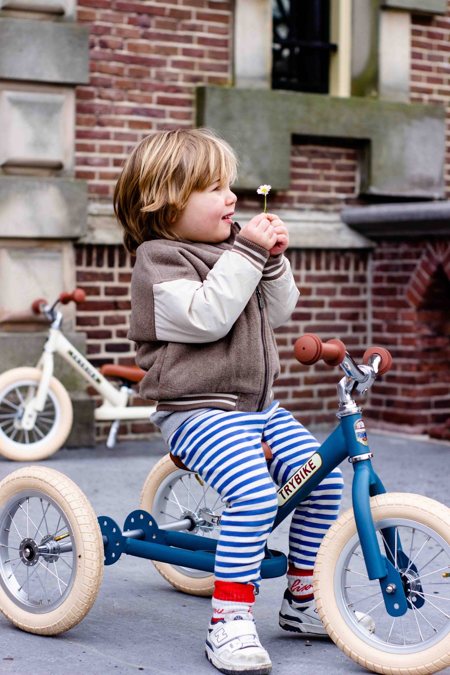 Trybike - Matte 2 In 1 Balance Bike / Trike - Vintage Blue - Rose and Friends