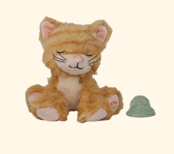 Binky Kitten - Koda