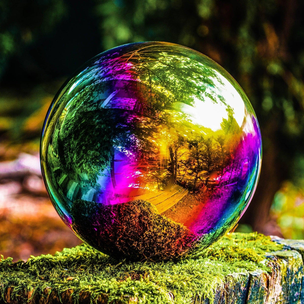 Sensory Reflective Colour Burst Balls - Sensory balls - Rose and Friends