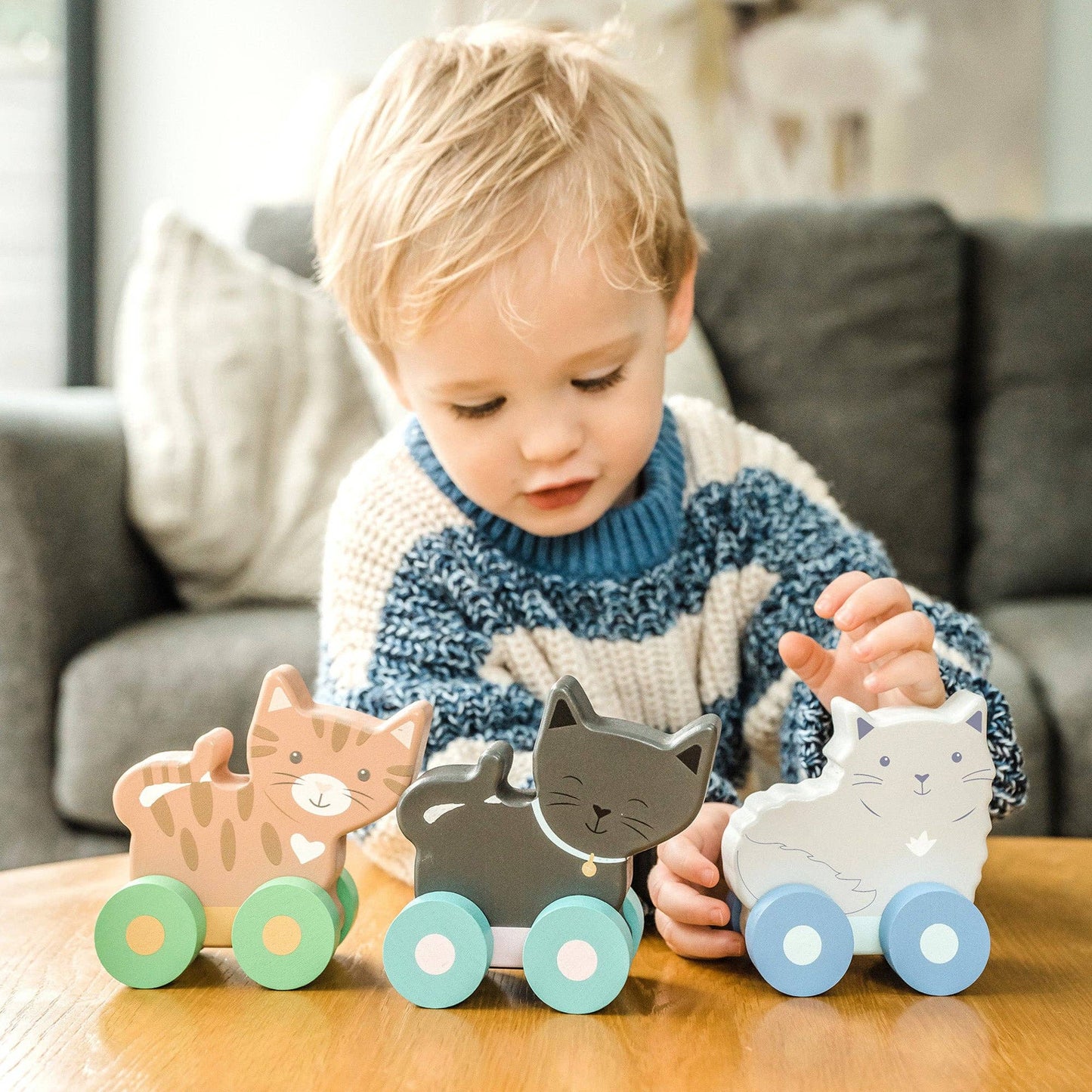 NEW Kitty Push Toys - Rose and Friends