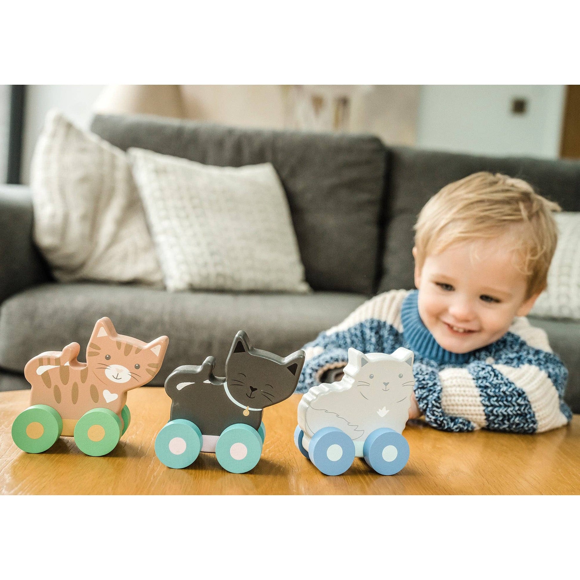 NEW Kitty Push Toys - Rose and Friends