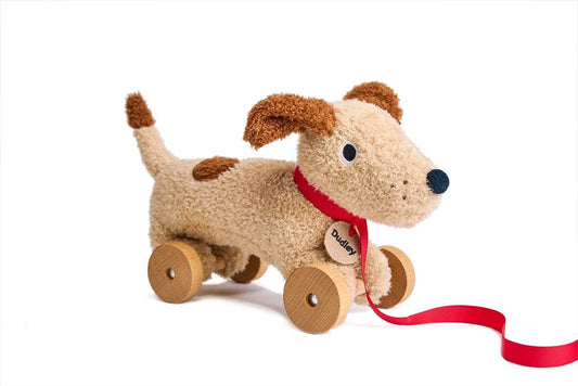 ThreadBear Dudley Pull Along Dog - Rose and Friends