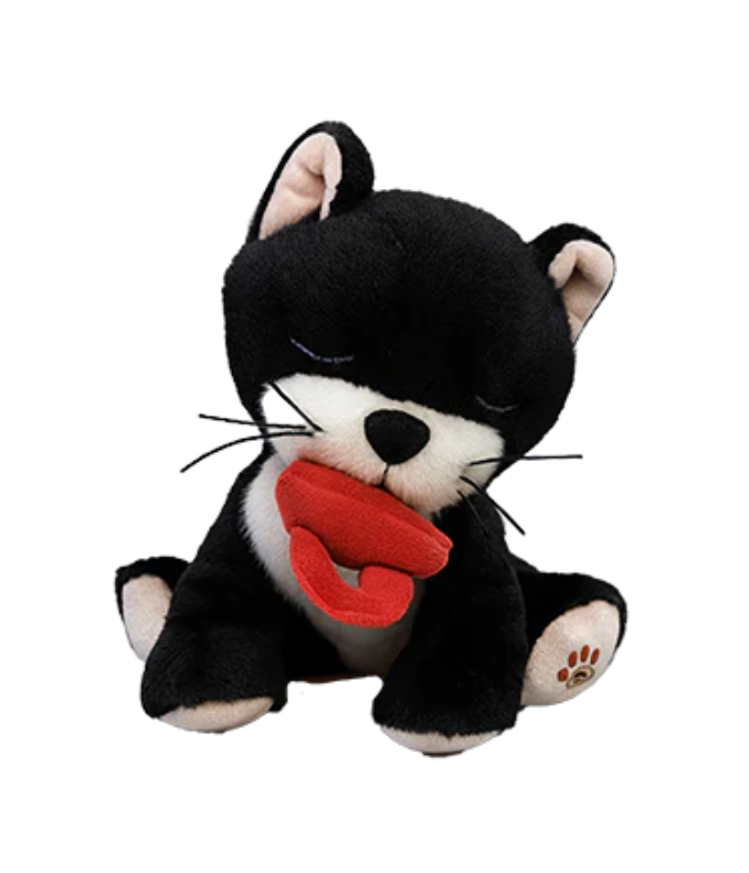 Binky Kitten Kit - Black & White - Rose and Friends