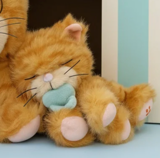 Binky Kitten - Koda