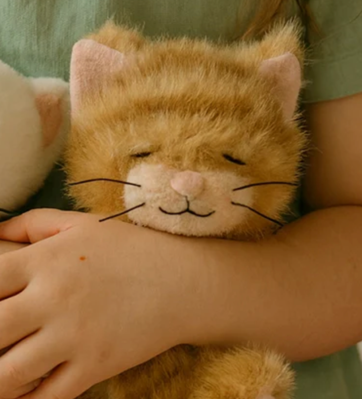 Binky Kitten - Koda