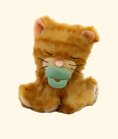 Binky Kitten - Koda