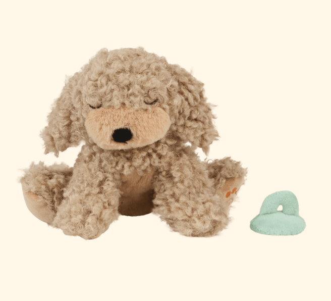 Binky Puppy - Benny