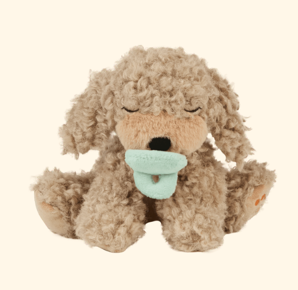 Binky Puppy - Benny