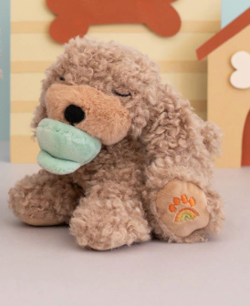 Binky Puppy - Benny